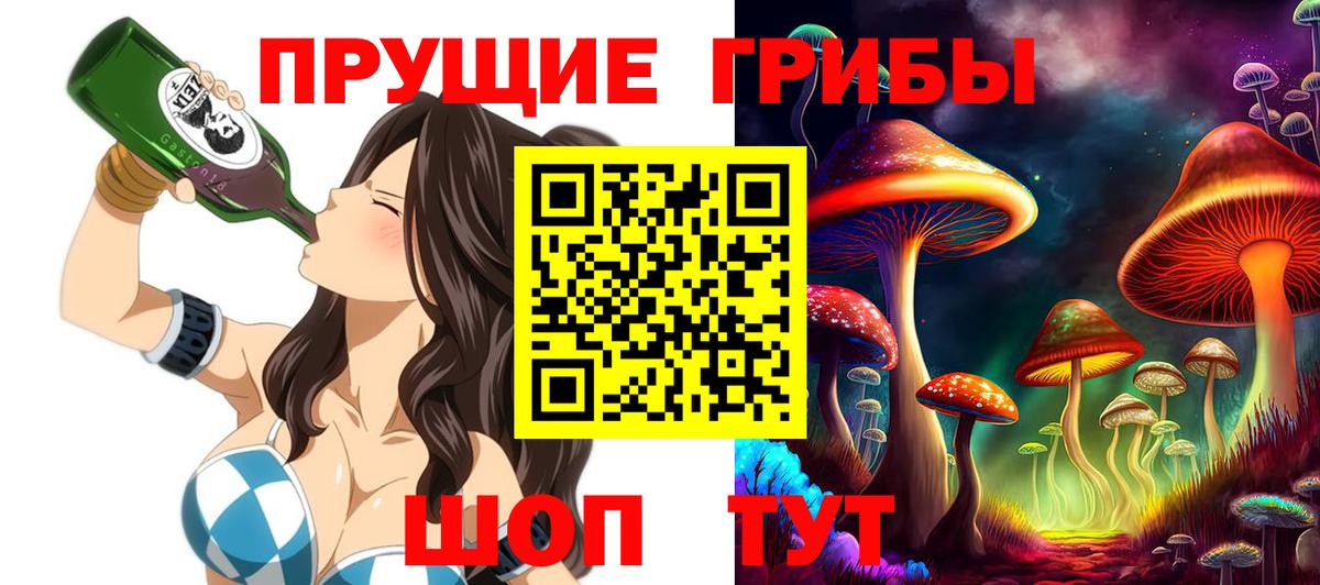 Псилоцибиновые грибы Cubensis  Вход с VPN  где купить наркотик  Новороссийск  Галлюциногенные грибы Cubensis 