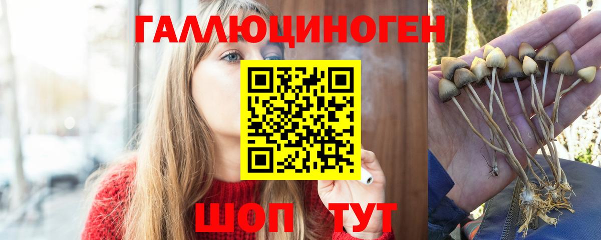 Галлюциногенные грибы ЛСД Новороссийск